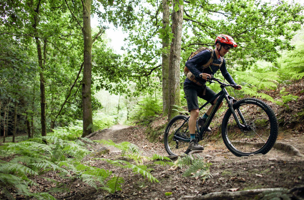 Forest of dean online downhill